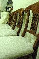 images/album/DSC_8287.jpg